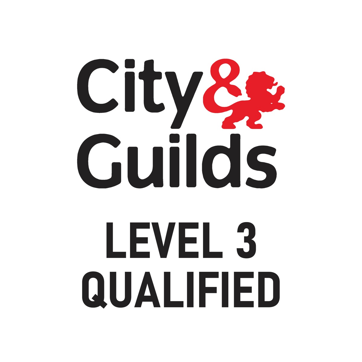 City & Guilds Level 3 qualified